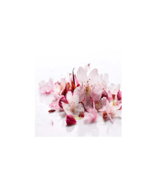 Parfum - Fleur de cerisier
