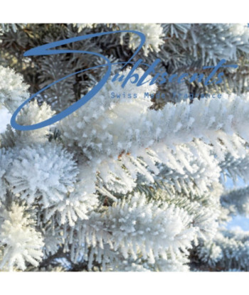 Parfum - Icy Hinoki