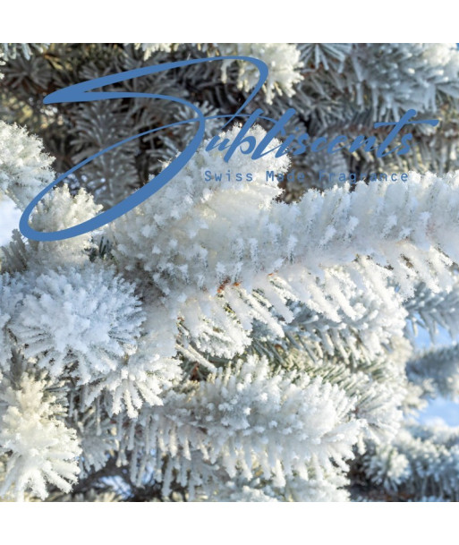 Parfum - Icy Hinoki